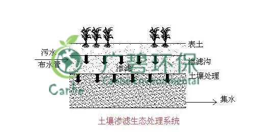 養(yǎng)豬場污水處理方法 養(yǎng)豬場廢水處理設(shè)備的應(yīng)用(圖6)