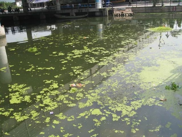 城市黑臭河道如何治理？河道黑臭水體治理思路