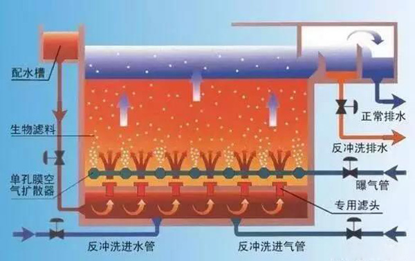 曝氣池和曝氣生物濾池有什么區(qū)別